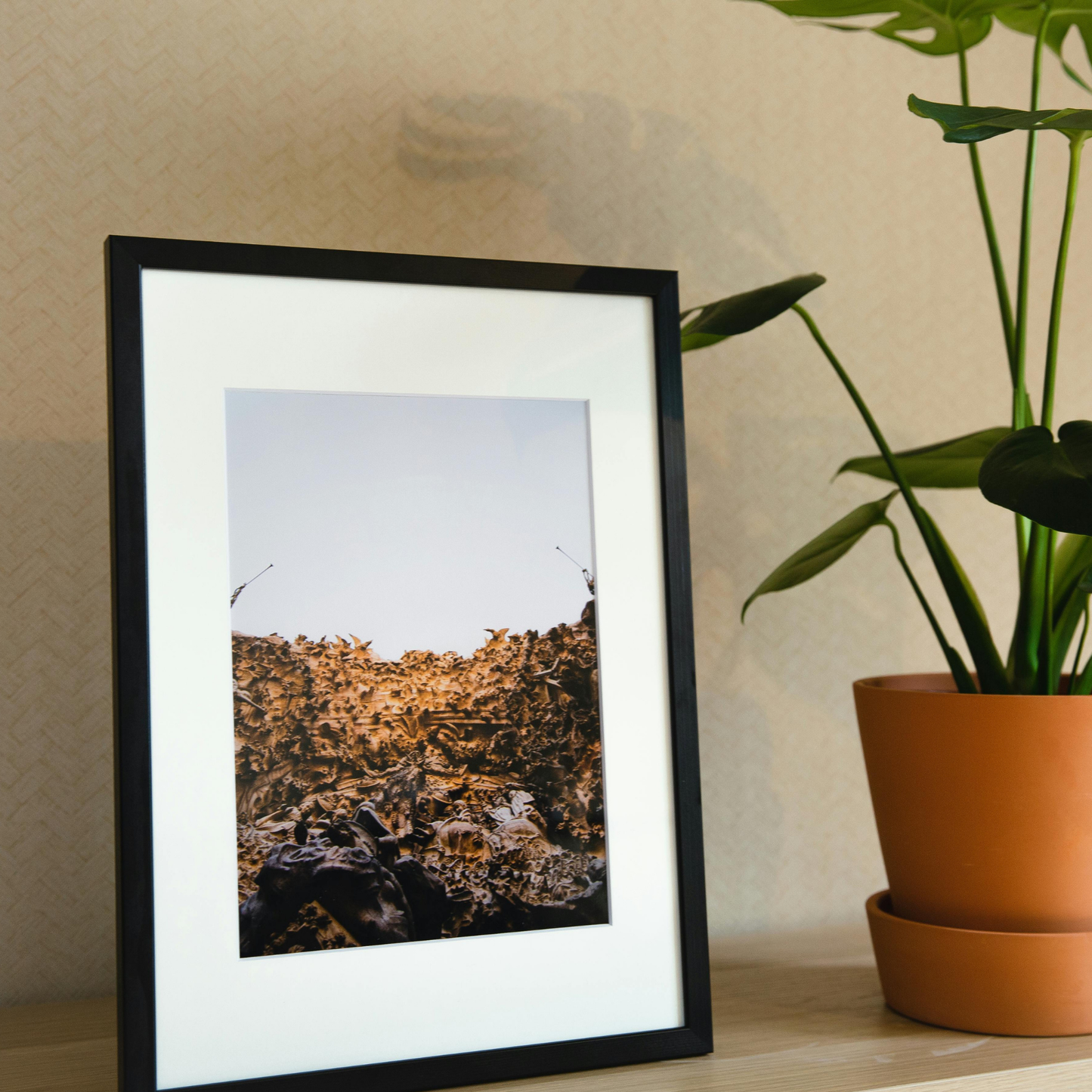 8x10in Photo Prints