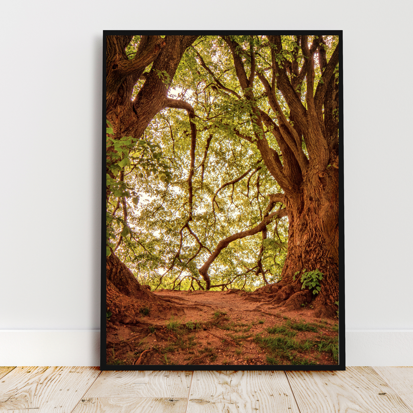 12x18in Photo Prints