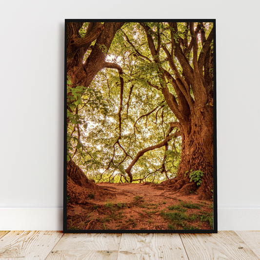 12x18in Photo Prints